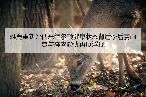 雄鹿重新评估米德尔顿健康状态背后季后赛前景与阵容隐忧再度浮现